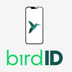 Bird ID e-CPF 5 Anos 5000 assinaturas